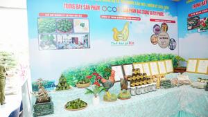 qua__y_trung_ba__y_sa__n_pha__m_2b523